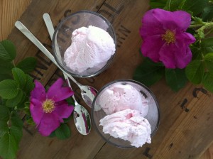 Rosensorbet